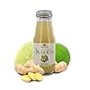 Succo di Frutta Al Lime E Zenzero, In Vetro, 12 Bottigliette Da 200 Ml, Tot. 2,4 Litri