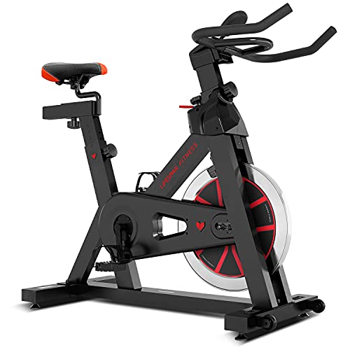 Lifespan Fitness SP310M2 Spin Bike, Black Lifespan Fitness SP310M2 Spin Bike, Black