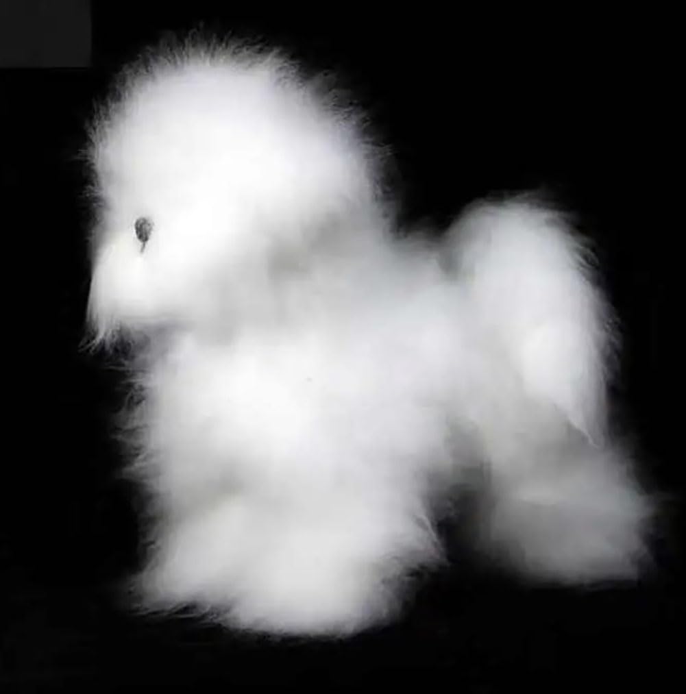 Amazon.co.jp: トリミング ビションフリーゼ 犬 マネキン トリミング