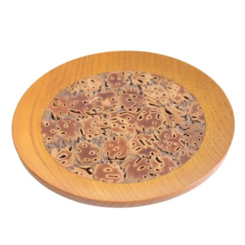 桃の実工房 茶托兼用菓子皿 2枚組み 直径12cm 厚さ2cm