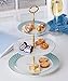 Jusalpha 3-tier Elegant Blue Ceramic Cake Stand/Cupcake Stand/Dessert Stand/Tea Party Pastry Serving Platter/Food Display, Stand, Comes In a Gift Box- Free Sugar Tong JQ-3RG (Blue)