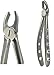 Dental USA-Extraction Forceps F14 Upper Left Molar Code-4987-A