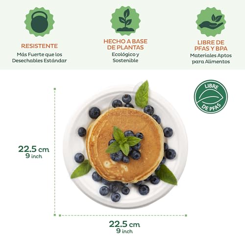 Consejos para Comprar Platos de carton favoritos de las personas. 9 Imagen adicional