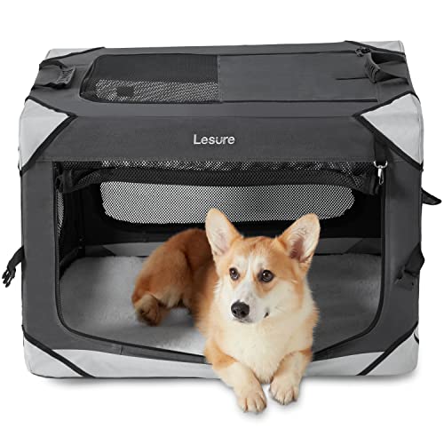 Lesure Collapsible Dog Crate - Portable Dog Travel Crate Kennel for Medium Dog, 4-Door Pet Crate with Durable Mesh Windows, Indoor & Outdoor (Charcoal Gray)