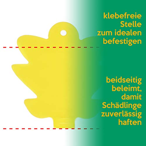 Gelbtafeln inseko 15 x Profi Gelbsticker für die Fliegenbekämpfung