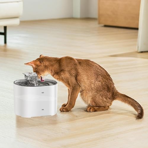 Fuente para gatos con cuenco de agua fluido y dispensador de 2,2 L para mascotas pequeñas 3