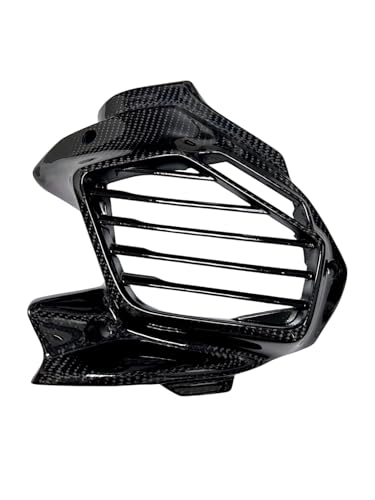 VOiX Ot@X GRYPHUS SEJ4J 6^ CARBON J[{GAt@Jo[ (^Cv)