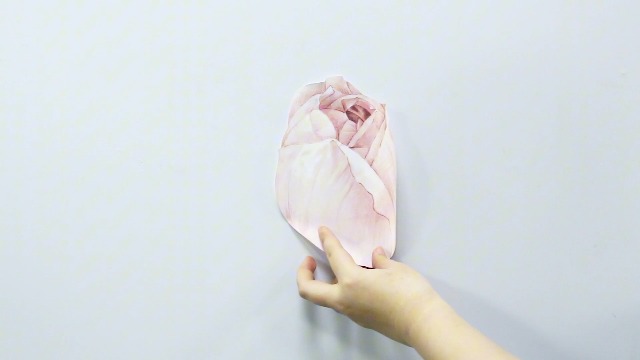 Vinilos Decorativos Florales Peonia Rosa Grande para Pared miniatura 7