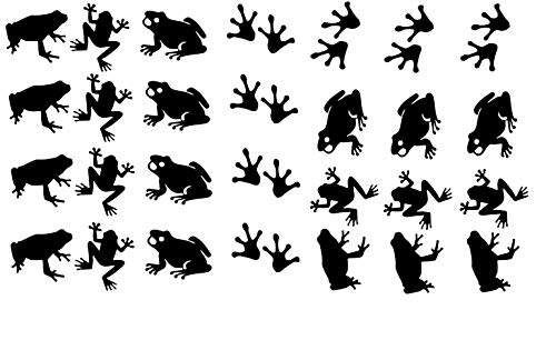 Frog Collection (Frog Vinyl Stickers Black)