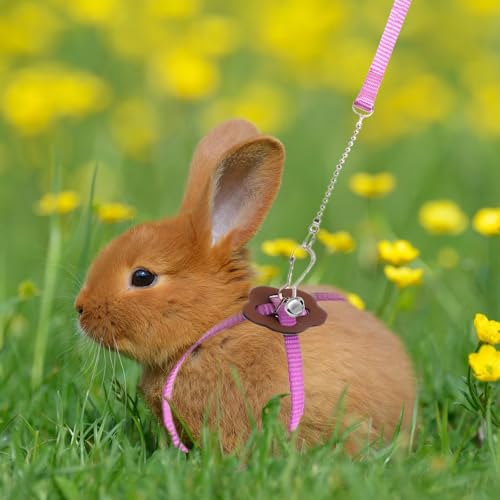 Image of 2 Pack Adjustable Hamster Leash Harness for Harness for Ferret Baby Rabbit Hamster Rat Mouse Leash Lead with Bell (Pink