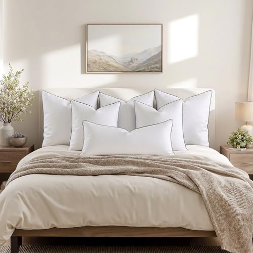 Image of MIULEE Goose Feather Down 20x20 Pillow Insert Set of 2 with 100% Down-Proof Cotton Cover, Soft Fluffy Decorative Pillow for Sofa Bed Couch Living Room White
