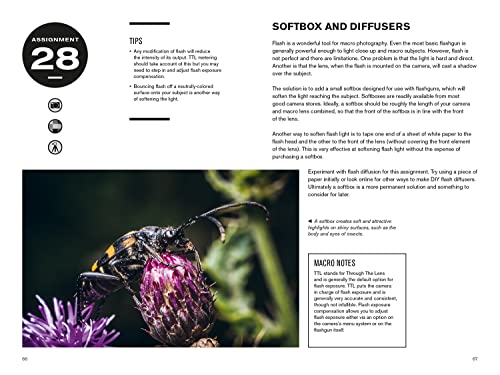 52 Assignments: Macro Photography