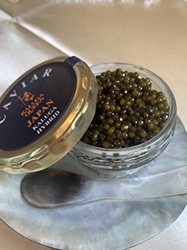 ＫＡＬＵＧＡＱＵＥＥＮブランドのフレッシュキャビア カルーガハイブリット５０ｇ瓶 専用シェルスプーン１本付のサムネイル