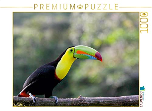 Preisvergleich Produktbild CALVENDO Puzzle - Regenbogentukan (Ramphastos sulfuratus) - 1000 Teile Foto-Puzzle für glückliche Stunden