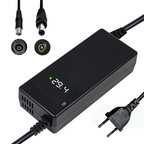 Cargador de batería de 29,4 V, 4 A, para batería de litio de 24 V, con pantalla LED y múltiples funciones de protección y reparación, equipado con conectores RCA de 8 mm, CC 5,5 x 2,1 mm