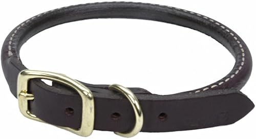 Miniatura 10 de Coastal Pet - Circle T - Collar redondo de cuero para perro Latigo con herrajes de latón macizo, Latigo, 3/4" x 20