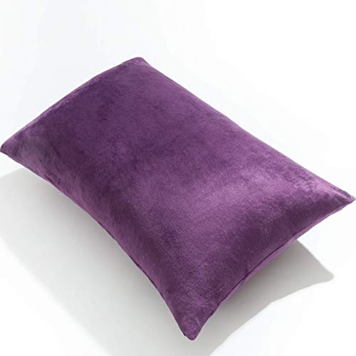 Image of NTBAY 2 Pack Zippered Velvet King Pillowcases, Super Soft and Cozy Luxury Fuzzy Flannel Pillow Cases with Zipper, 20x36 Inches, Purple