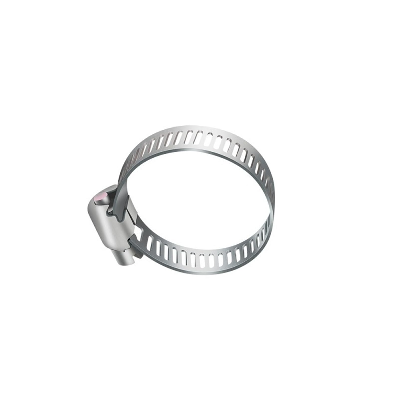Rtgcx One Color 10-30Pcs Hose Clamps Stainless Steel Adjustable Worm Gear Pip Tube Tool For Water Pipe Plumbing Fuel Line Intercooler