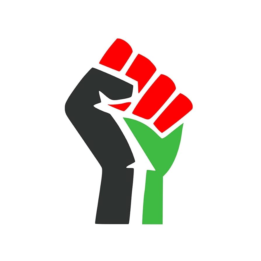 Amazon.com: Set of 5 x Free Palestine Iron on Screen Print