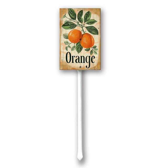 Uptell Vintage Fruit Orange Yard Sign With Stake 12.8" For Garden Label Stakes Plant Markers For Outdoor Plants Waterproof 7x8.8 inch