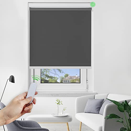 Allesin Smart Automatic Roller Shades, 100% Blackout Electric Shades, Cordless Remote Control Blinds for Home Windows(Dark Grey,39Wx72H)