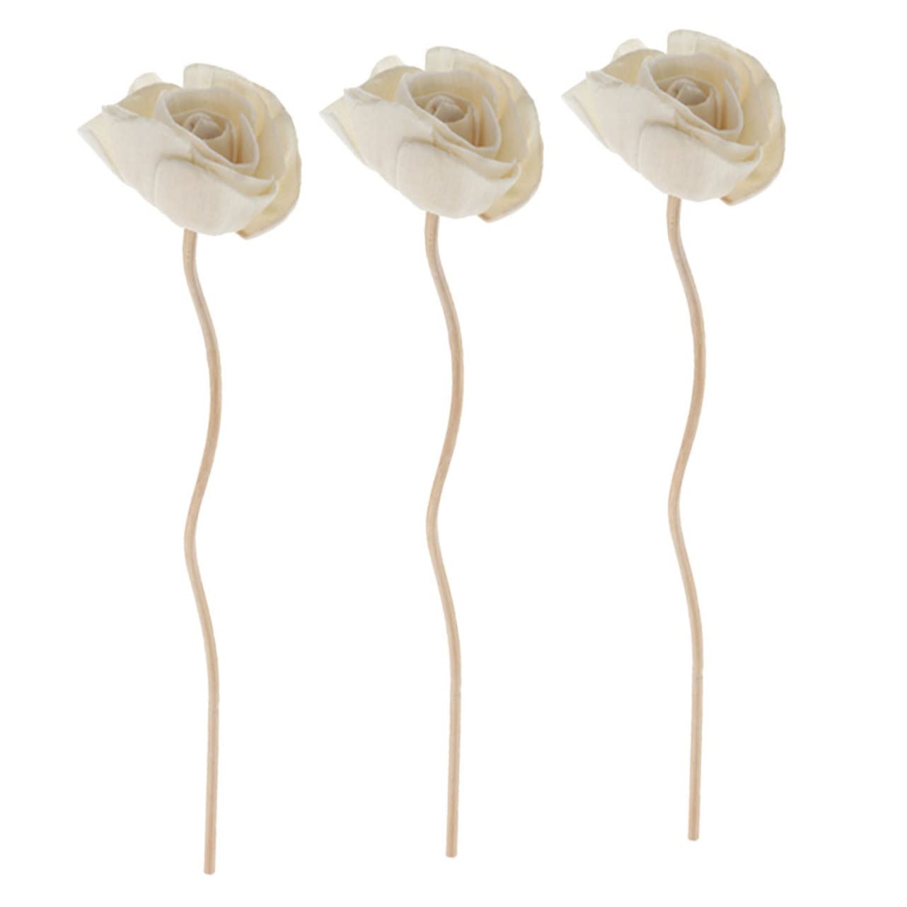 DECHOUS 5sets Essential Oil Diffuser Aroma Stick Diffuser Sticks Dried Flower Aromatherapy for Home and Car Decor 3pcs*5