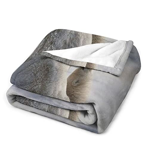 Couverture en flanelle pour lit double plaid chaud de canapé - 4