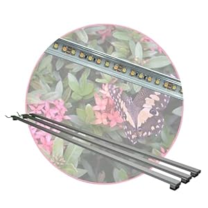 Aquarium-Plüderhausen 3x LED-Beleuchtung 40cm Terrarium Set