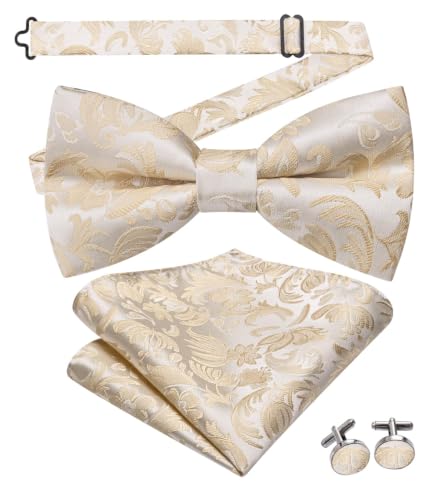 Image of Dubulle Mens Paisley Striped Bowtie Set Pre-tied Bowtie for Men and Pocket Square Set Wedding Business