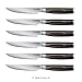 Yatoshi Steak Knife Set - 6 Piece Ultra Sharp High Carbon Stainless Steel, Hidden Tang, with Pakkawood Handles