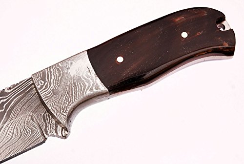 Sharpworld Buffalo Horn Damascus Knife Made Of Remarkable Damascus Steel -Best Hunting Knife With Sheath Tj105 #TOP3