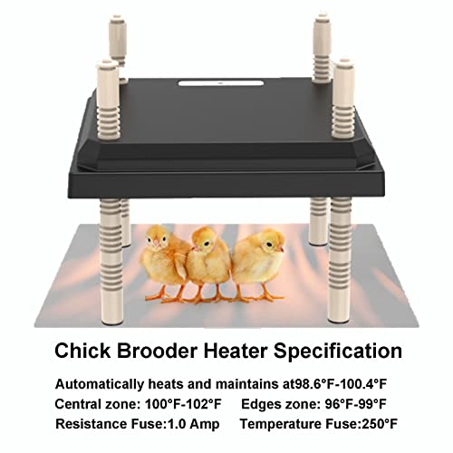 Reshy Brooder Heater Chick Heating Plate, 10''X10'' Brooder Heat Plate With Cleaning Plate, Adjustable Height, Poultry Coop Heater Warmer 15 Chicks, 15 Watts, Black #TOP5