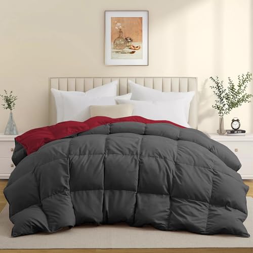 Image of Duel Tone Luxury Comfort 500 GSM Winter Comforter King Size 90 inchX106 inch - Heavy Winter Blanket 500 GSM Microfiber Fill - Duvet /Blanket King Size - Burgundy /Dark Gray Color