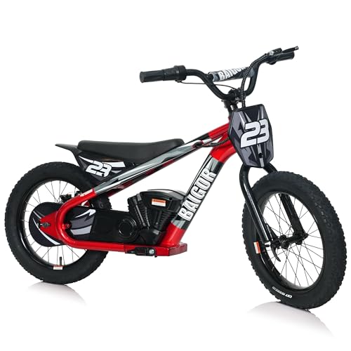 wanan 250W Electric Dirt Bike for Kids...