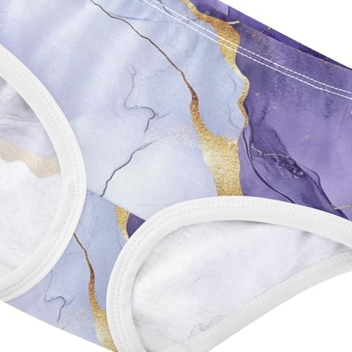 Training Panties Underwear for Daily Wear Comfort Color for Girls in Sizes 2T,3T, 4T, 5T, 6Y and 8Y4