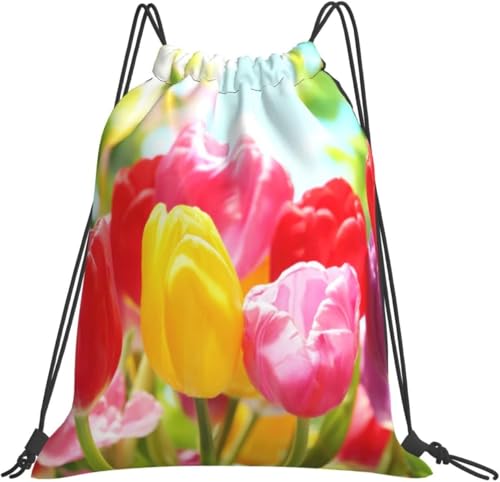 [ESASAV] ̉̃Jtȃ`[bv ibvTbN [ e h y ܂ [obO В j ^ s AEghA