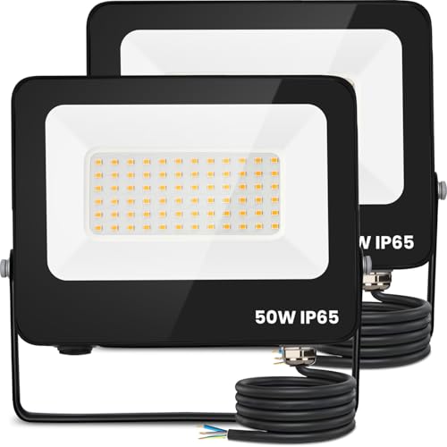 Aigostar Foco Led Exterior 50w 4500 lúmen,Impermeable IP65,Proyector LED Blanco Natural 4000 K para Jardín,Patio,Garaje,Parque 2 piezas