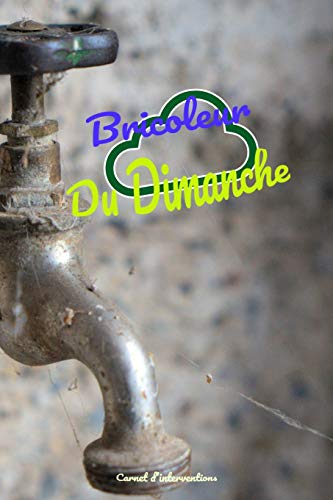 Bricoleur du dimanche: Carnet de compte et d'interventions professionnelles (French Edition)