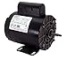 Century B232 1 - 1/6 HP 230 Volt 56Y Frame Century Replacement for Waterway Pump Motor - B232