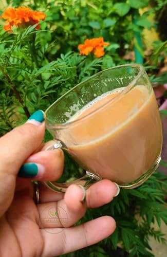 Image of MARKQUES Teaware Glass Cup for Green Tea, Herbal Tea, Coffee (Transparent, Clear, 200 ml) 4 Pieces