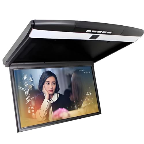Reproductor Multimedia Techo Coche 17.3