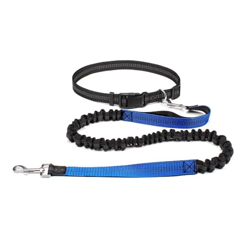 Longe pour chien réglable : solution mains libres pour corriger les tractions en bleu