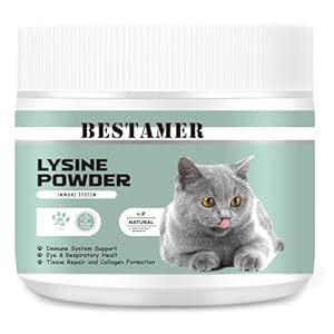 Bestamer Lysine for Cats Powder – Immune Support, Respiratory Healt, Support Collagen Formation. Chicken for Flavor. 4.2oz(120g)