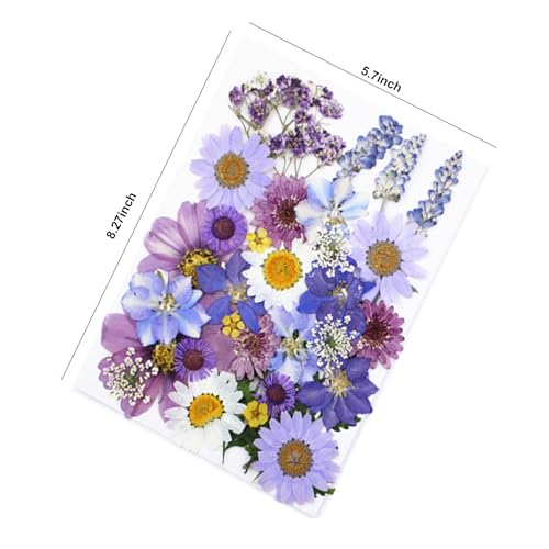 Flores secas prensadas para manualidades DIY resina 33 piezas miniatura 6