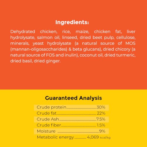 Image of Fidele+ Starter Puppy Food | 2.7kg | DHA for Brain Development | Gentle Digestion | Ideal for Weaning Puppies & Mothers