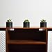 SEEKO Artificial Succulents 3 Pack Faux Potted Plant Decor - Realistic Faux Succulents Perfect Small Desk Plant, Home Office, Kitchen, Book Shelf, or Bathroom Decor (Matte Black Pot)