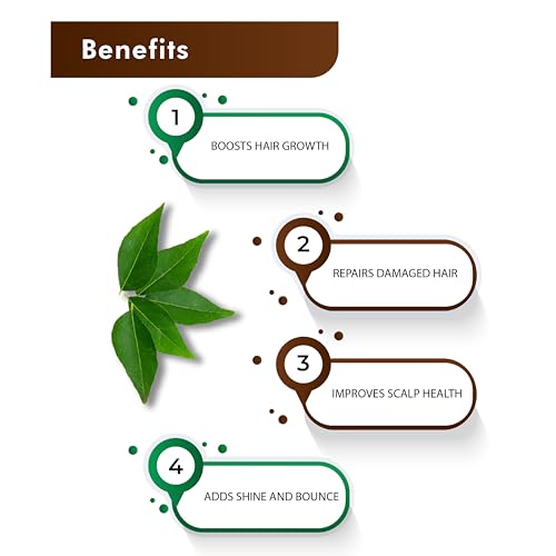 H&C Herbal Ingredients Natural Curry Leaves Powder - 227 Gm for Eating & Drinking to Grow Long, Strong and Shiny Hair & Manage Diabetes and Cholesterol | Also Known As Kadi Patta, Murraya Koenigii, Sweet neem leaves, Karivepaku, Karibevu