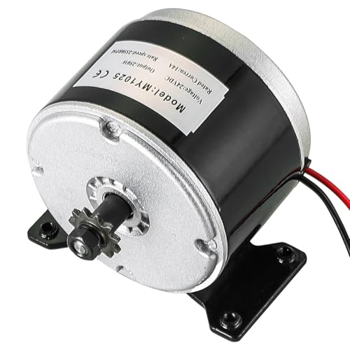 NATGAI 24V 250W Brushed Electric Motor