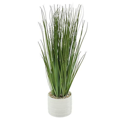 Preisvergleich Produktbild FRANK FLECHTWAREN Kunstgras im Topf