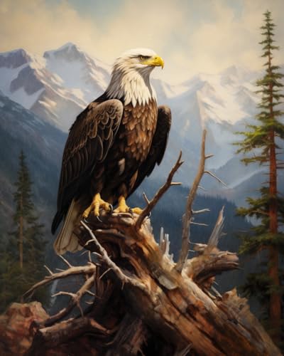 Cross-Stitch Stamped Kits, Bald Eagle Surveying its domain, DIY Designs Cross-Stitch Easy Supplies Needlework, Needlepoint Embroidery Gift for Home Decor 16x20 inch
